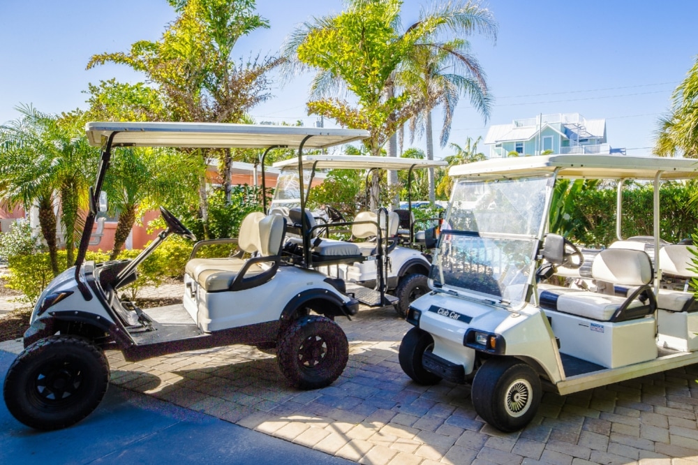 Golf cart rentals parked under palm trees in San Diego